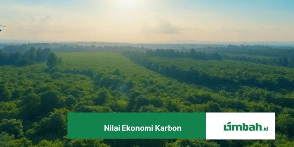 Nilai Ekonomi Karbon