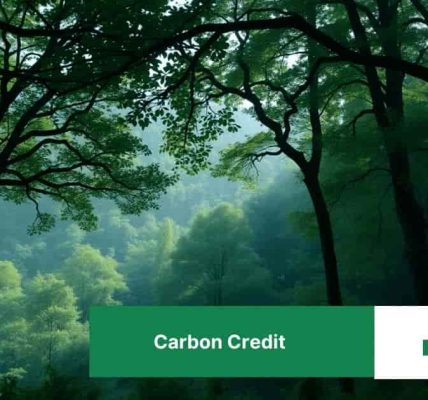 Carbon Credit (1)