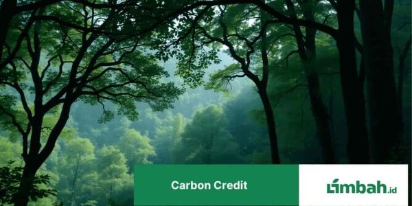 Carbon Credit (1)